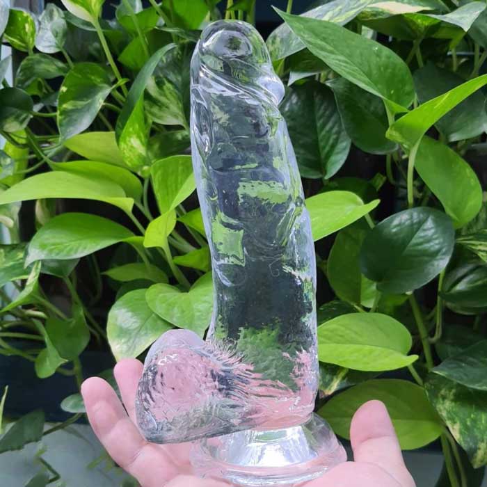 Dương vật giả trong suốt gắn tường
